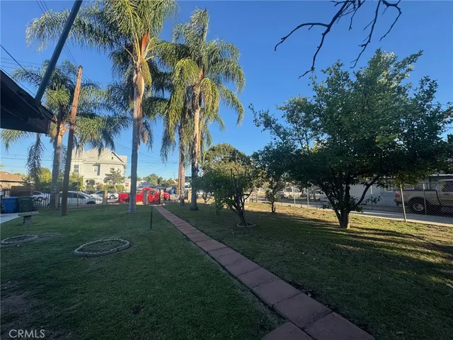 a park with full of palm trees