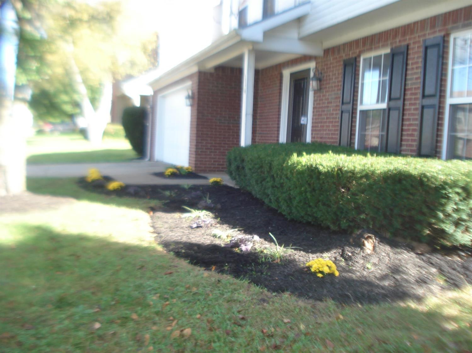 114 Old Post Road Paris, KY 40361 - Photo 2 of 20 Photo 2
