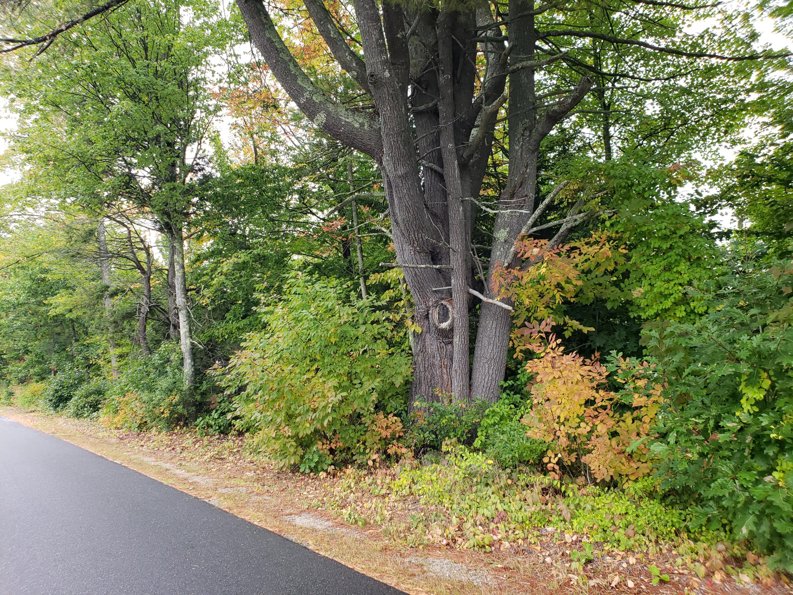 237 Middle Ridge Road Bridgton, ME 04009 - Photo 23 of 30 road frontage