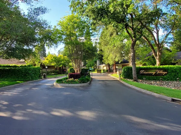 a view of road with plants and trees