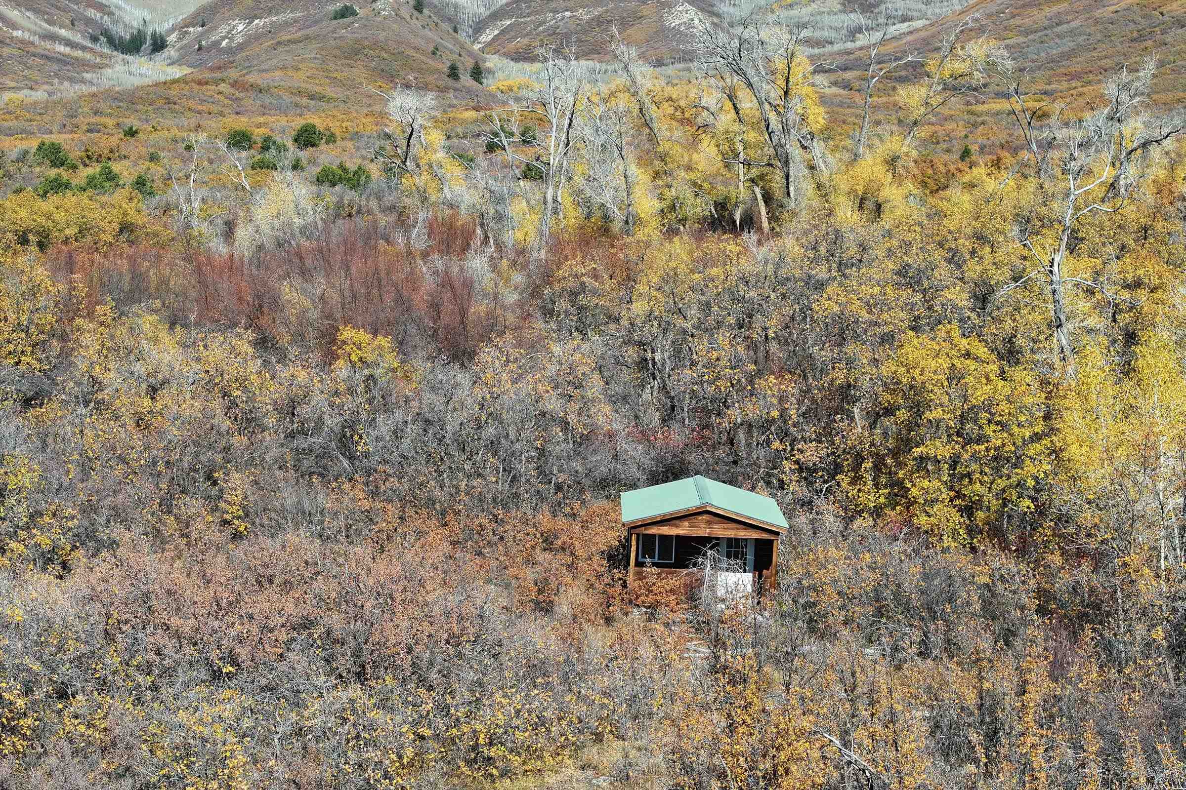 20694 58 6/10 Road Collbran, CO 81624 - Photo 13 of 25 Gallery Image 13