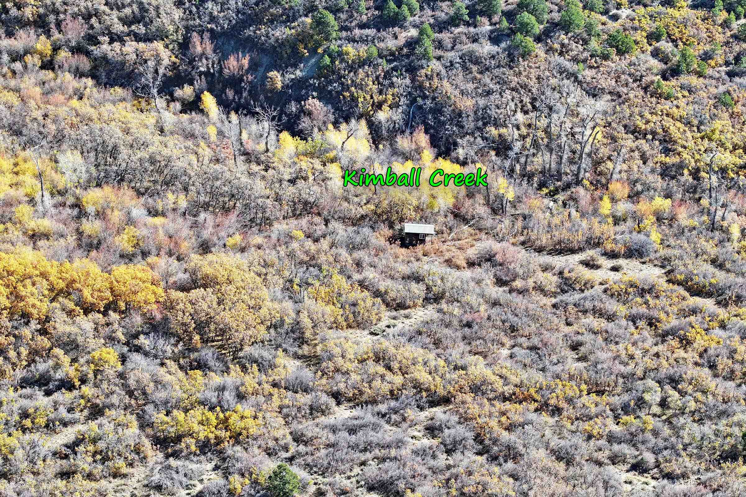 20694 58 6/10 Road Collbran, CO 81624 - Photo 15 of 25 Gallery Image 15