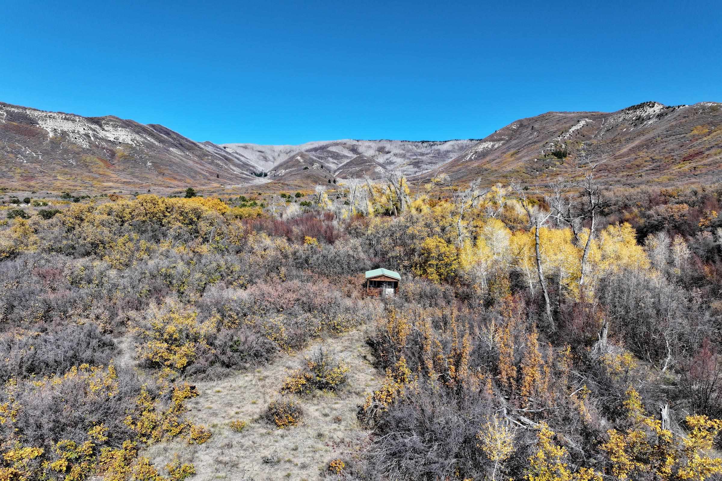 20694 58 6/10 Road Collbran, CO 81624 - Photo 16 of 25 Gallery Image 16