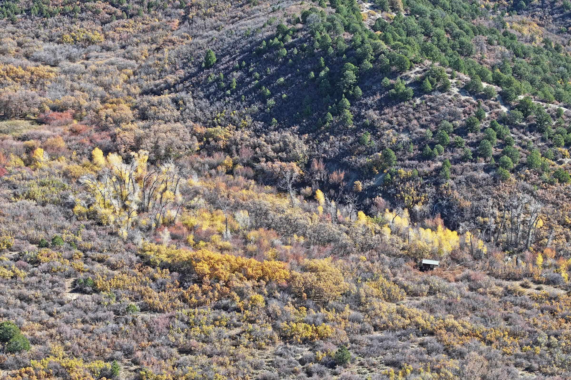 20694 58 6/10 Road Collbran, CO 81624 - Photo 17 of 25 Gallery Image 17