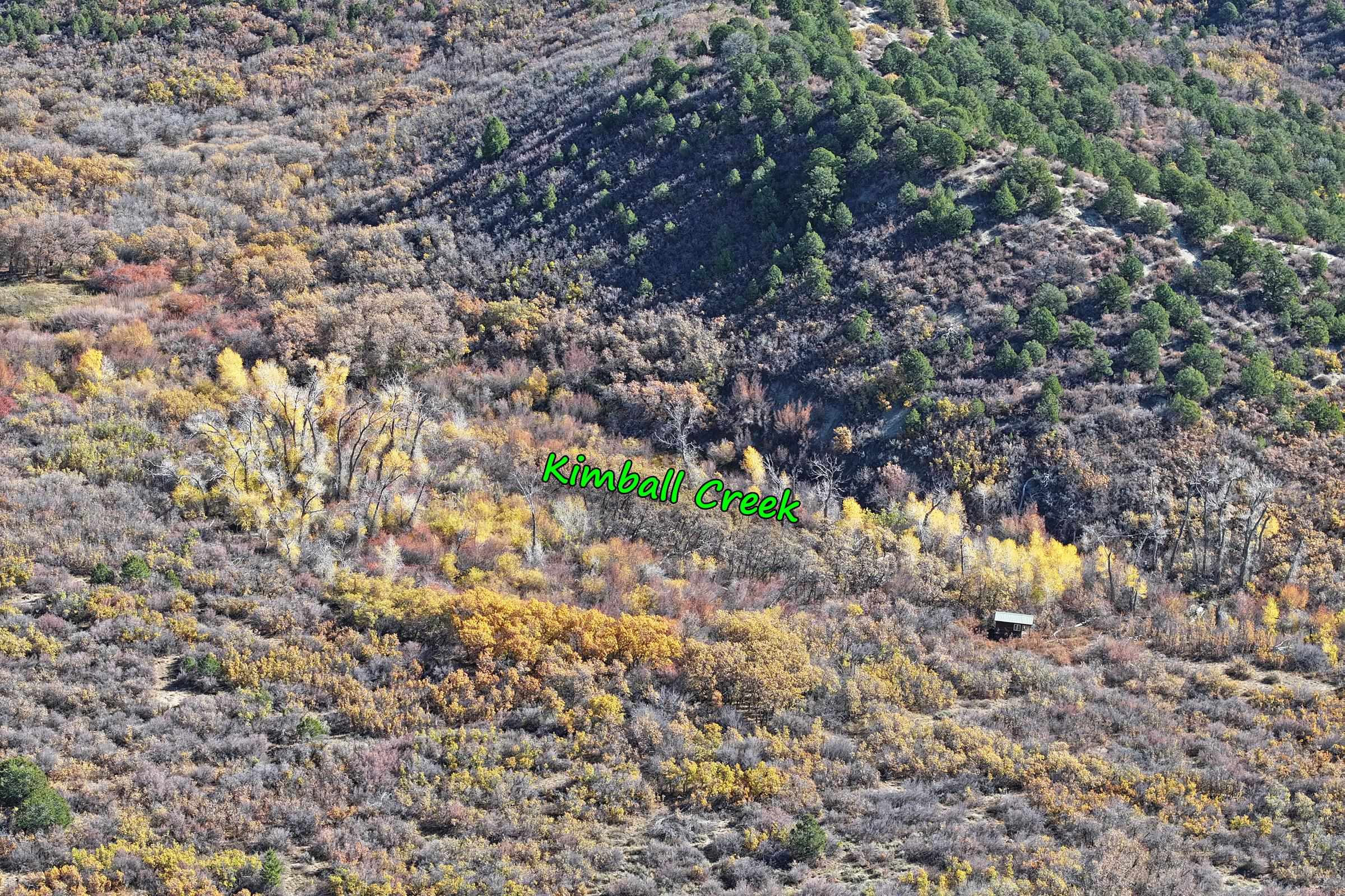 20694 58 6/10 Road Collbran, CO 81624 - Photo 19 of 25 Gallery Image 19
