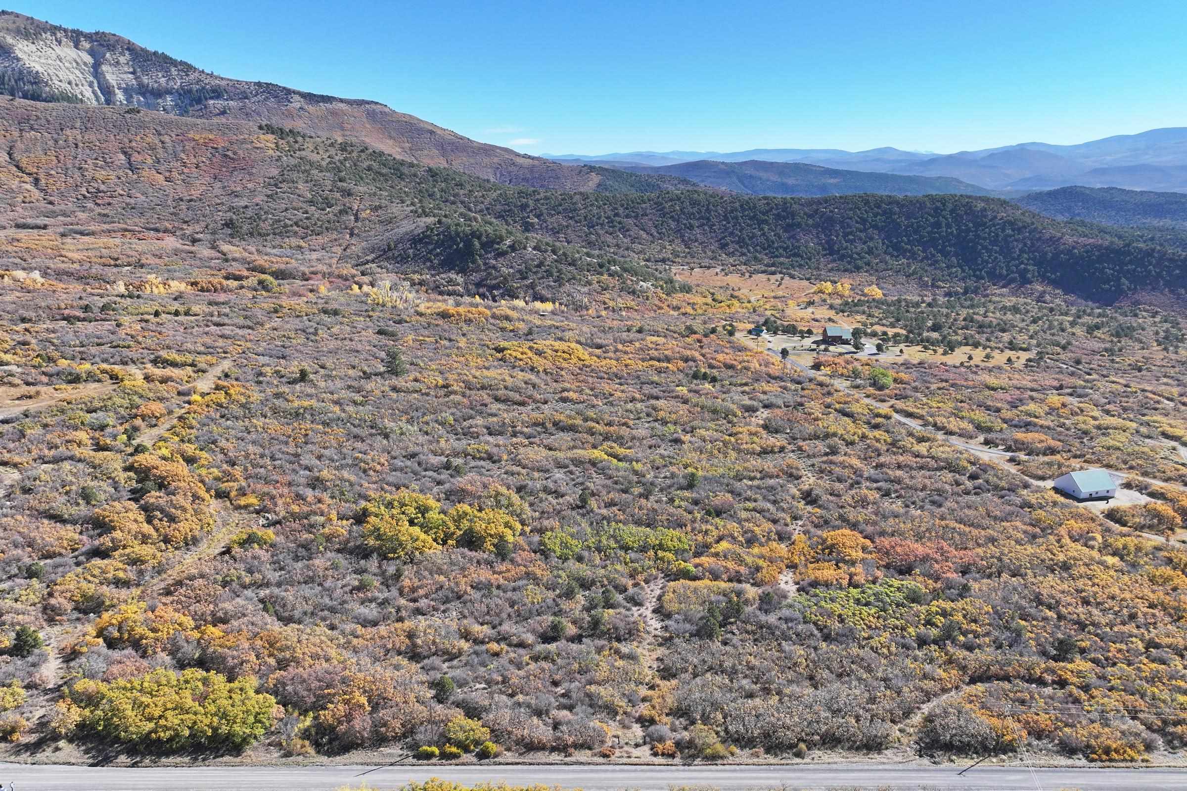 20694 58 6/10 Road Collbran, CO 81624 - Photo 20 of 25 Gallery Image 20