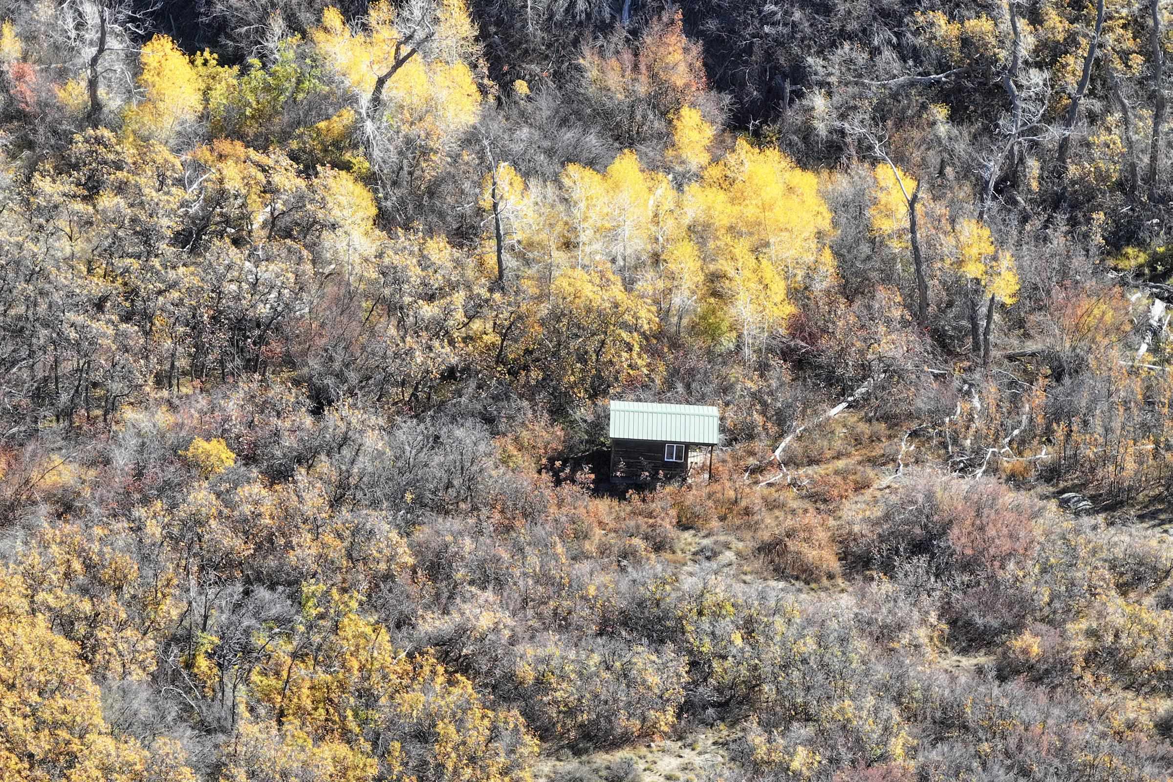 20694 58 6/10 Road Collbran, CO 81624 - Photo 2 of 25 Gallery Image 2