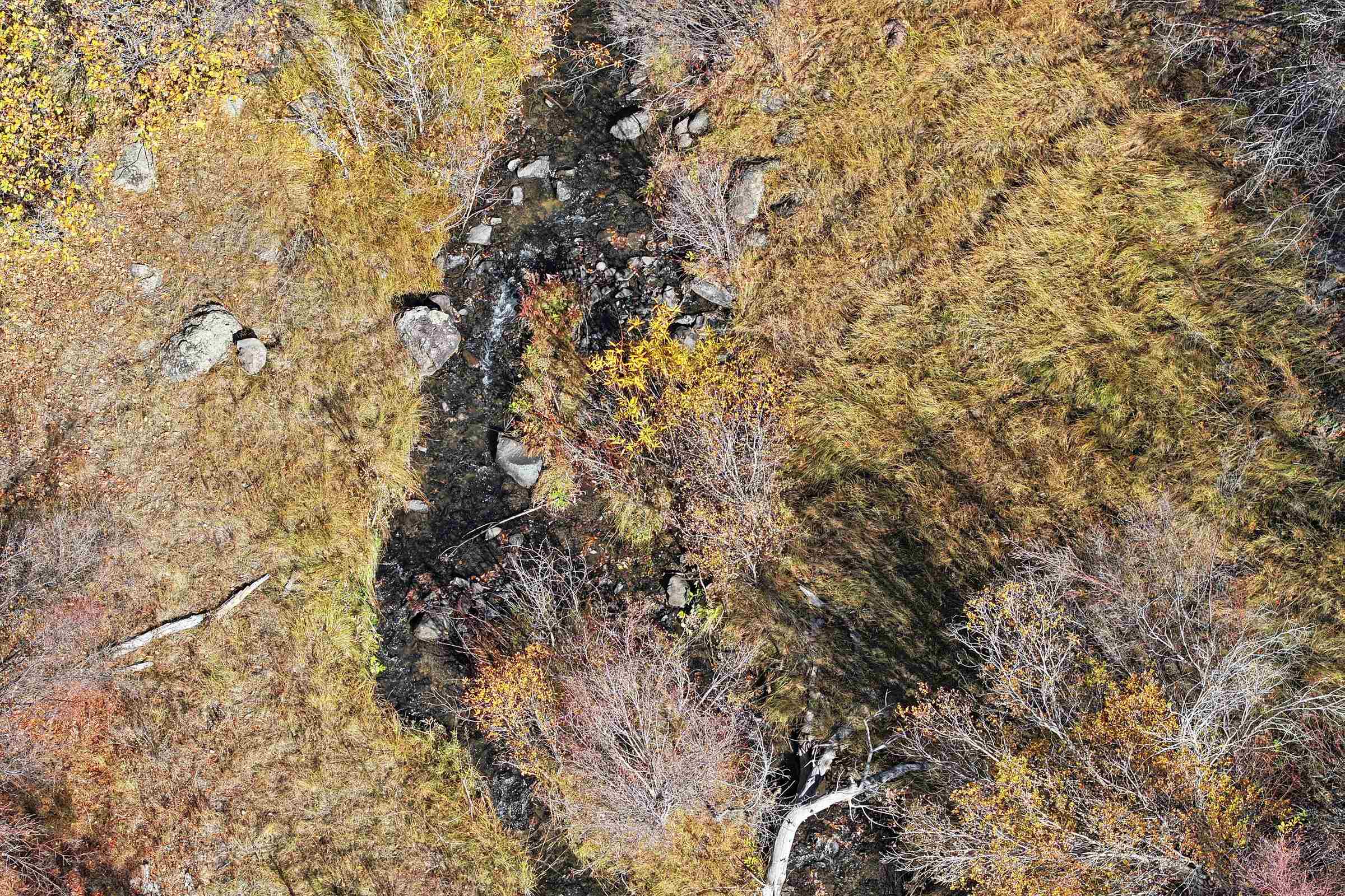 20694 58 6/10 Road Collbran, CO 81624 - Photo 9 of 25 Gallery Image 9
