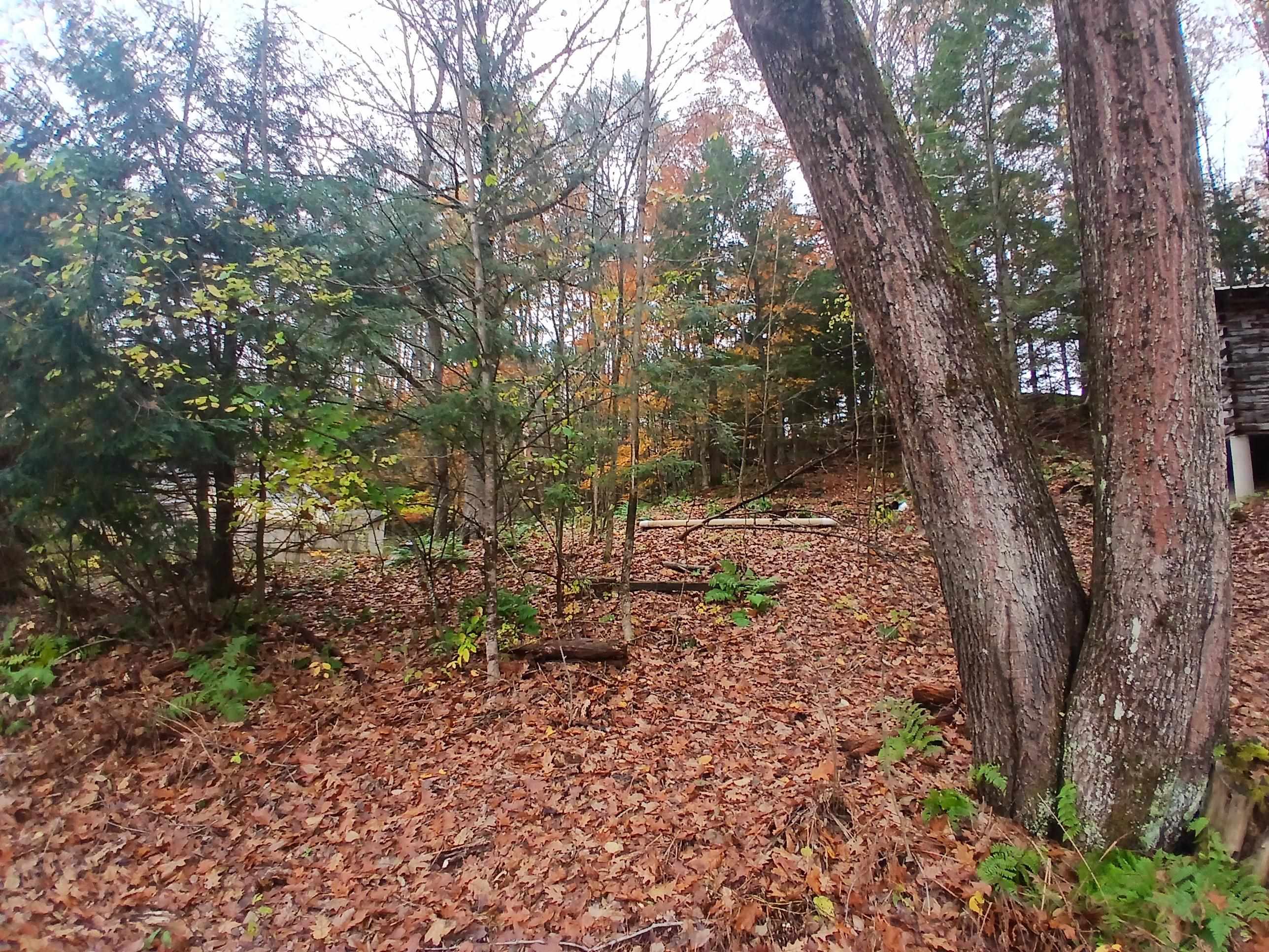 5 East Wilder Road Lebanon, NH 03784 - Photo 4 of 8