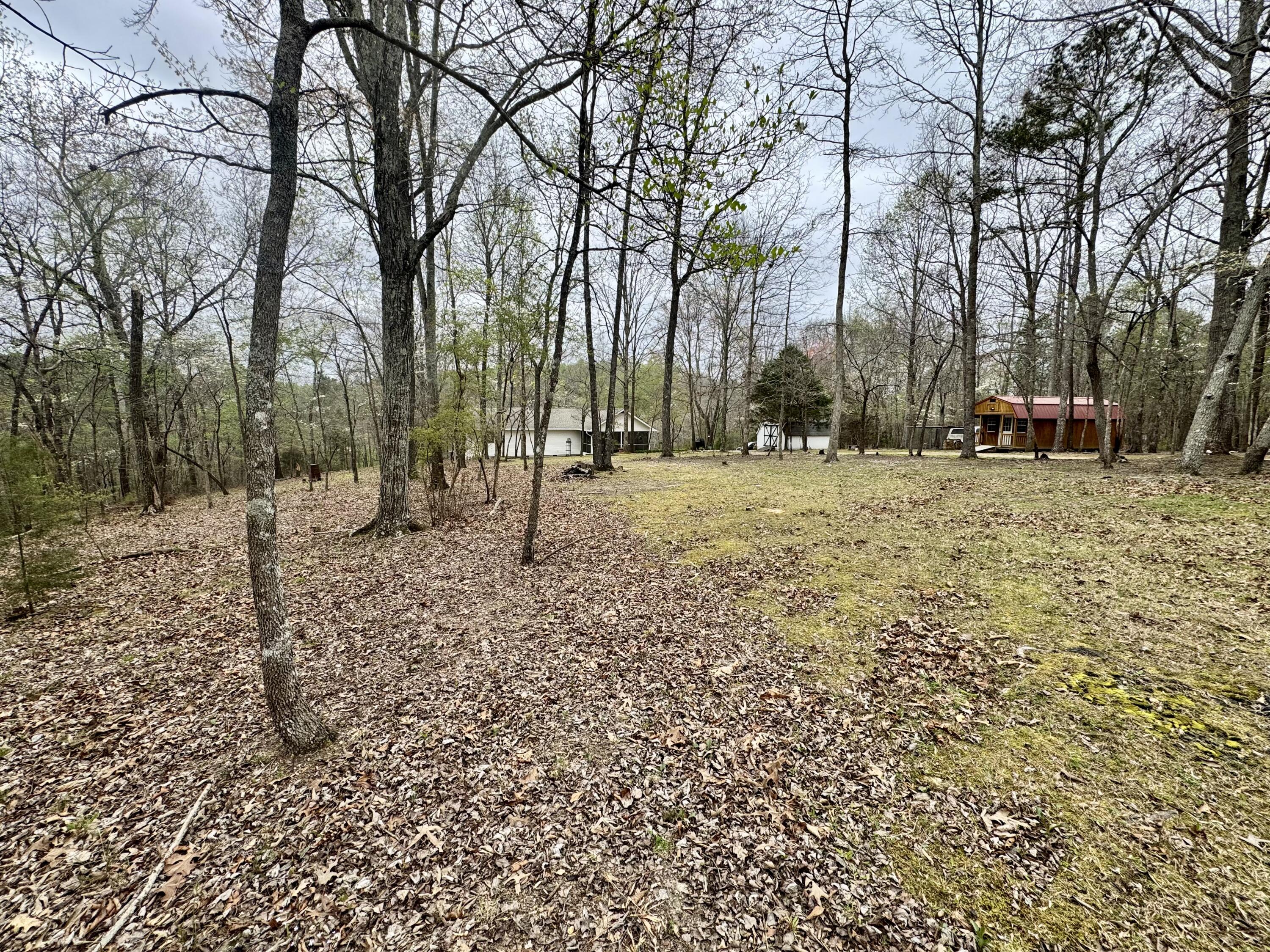 1801 Colbert Hollow Road Rock Spring, GA 30739 - Photo 31 of 39 backyard