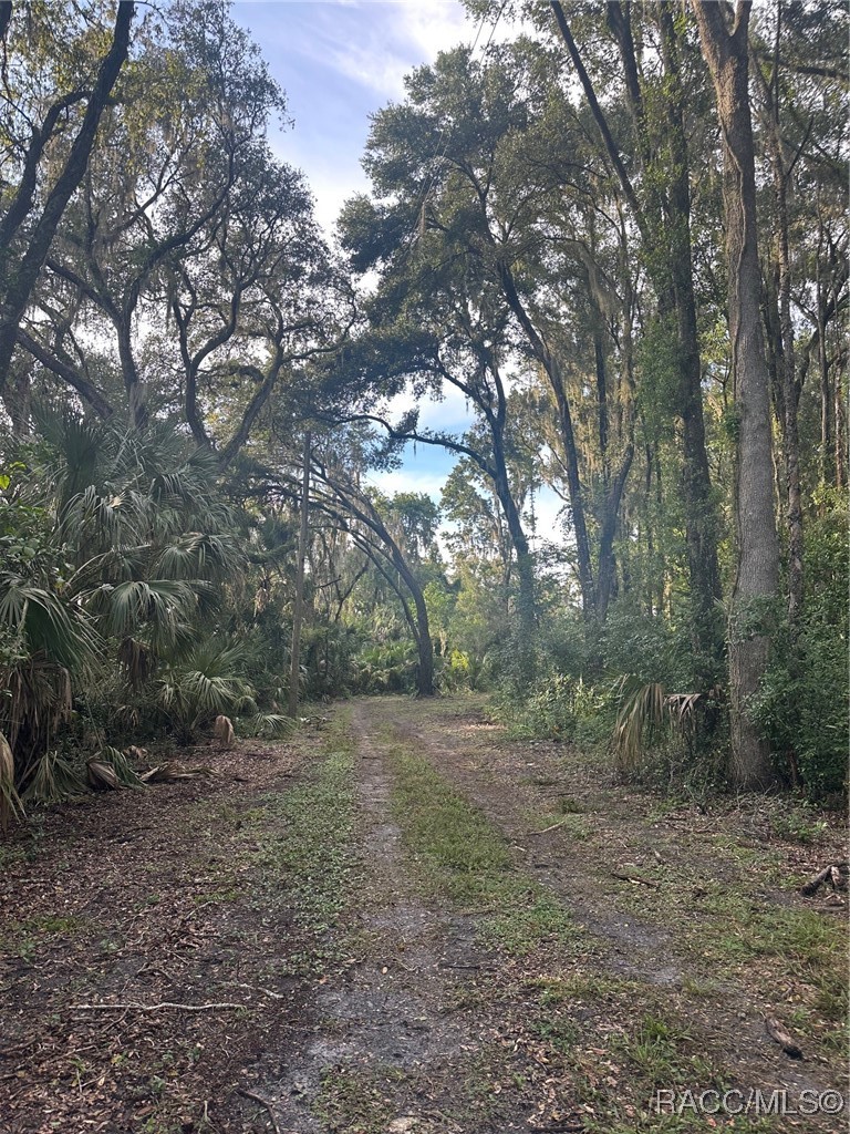 6661 East Turner Camp Road Inverness, FL 34453 - Photo 3 of 5