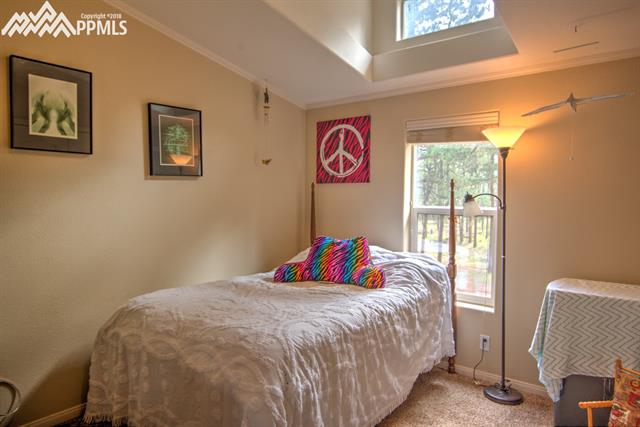 203 Red Cloud Road Florissant, CO 80816 - Photo 20 of 26