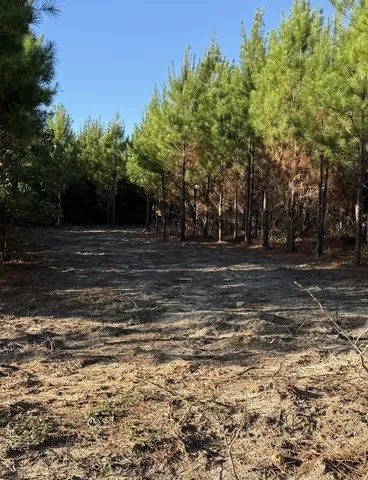 a view of outdoor space with trees