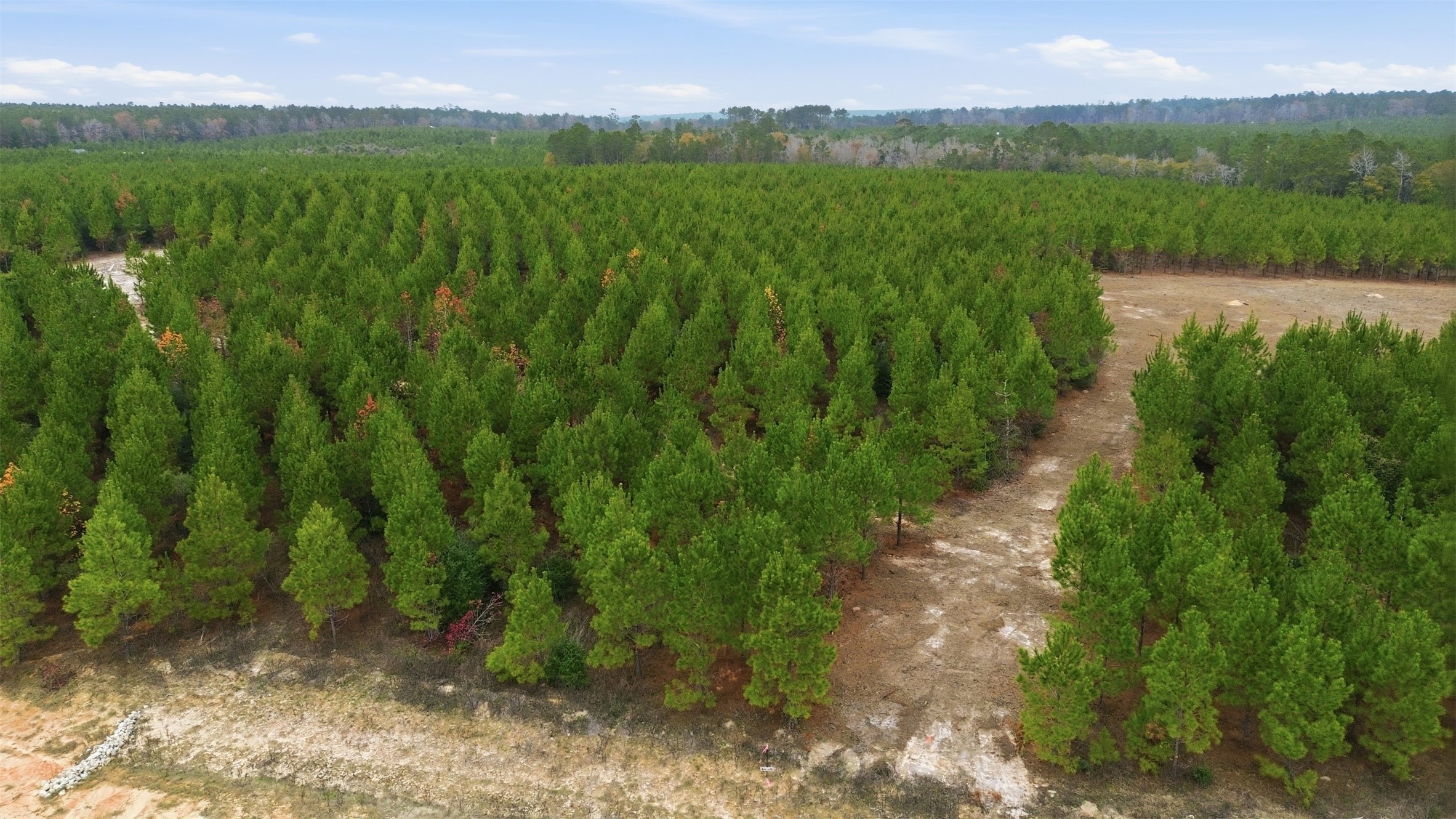 Tbd Blackjack Road Livingston, TX 77351 - Photo 2 of 11 a view of a lush green outdoor space with a lake view