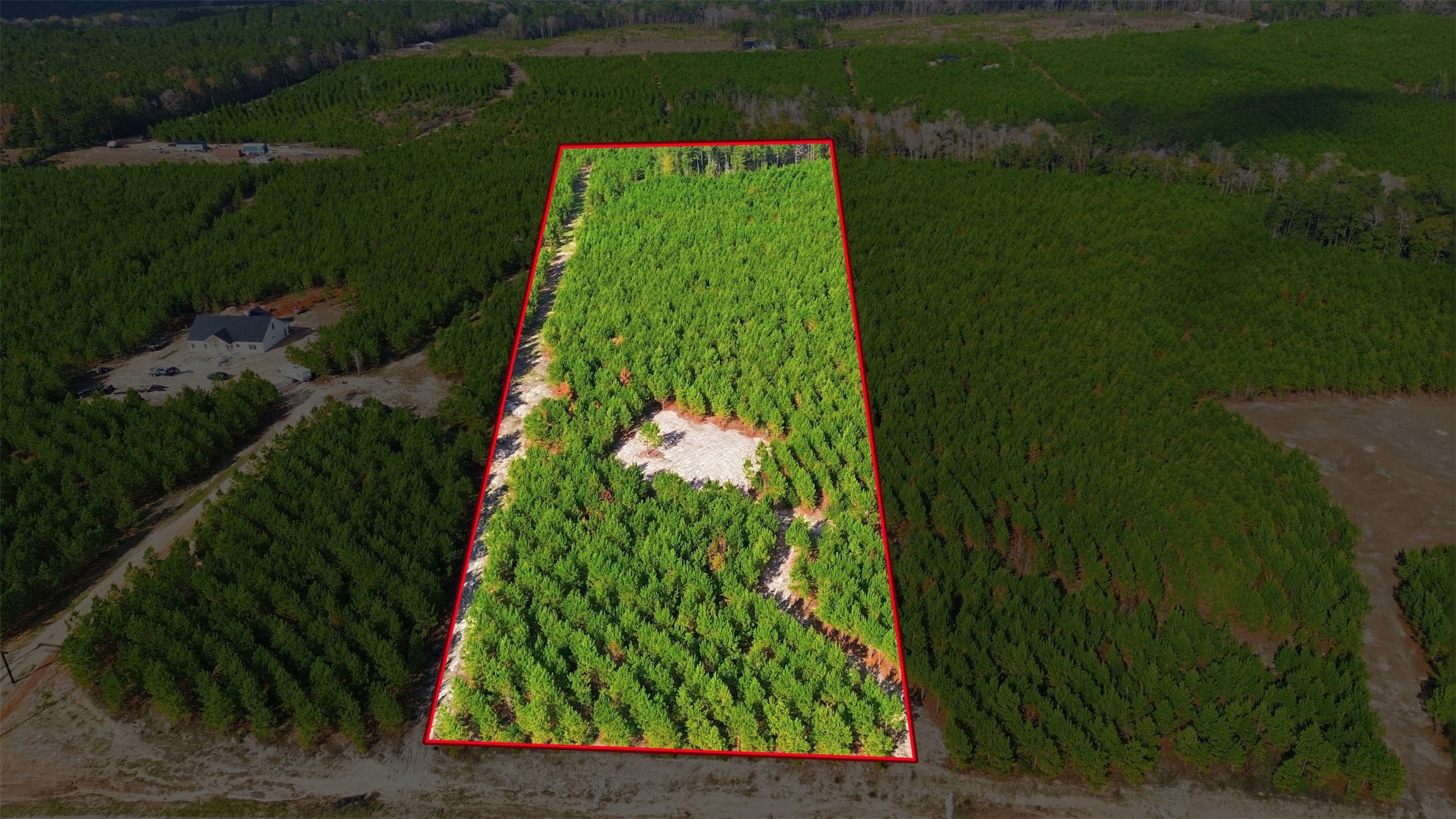 Tbd Blackjack Road Livingston, TX 77351 - Photo 3 of 11 a view of a yard