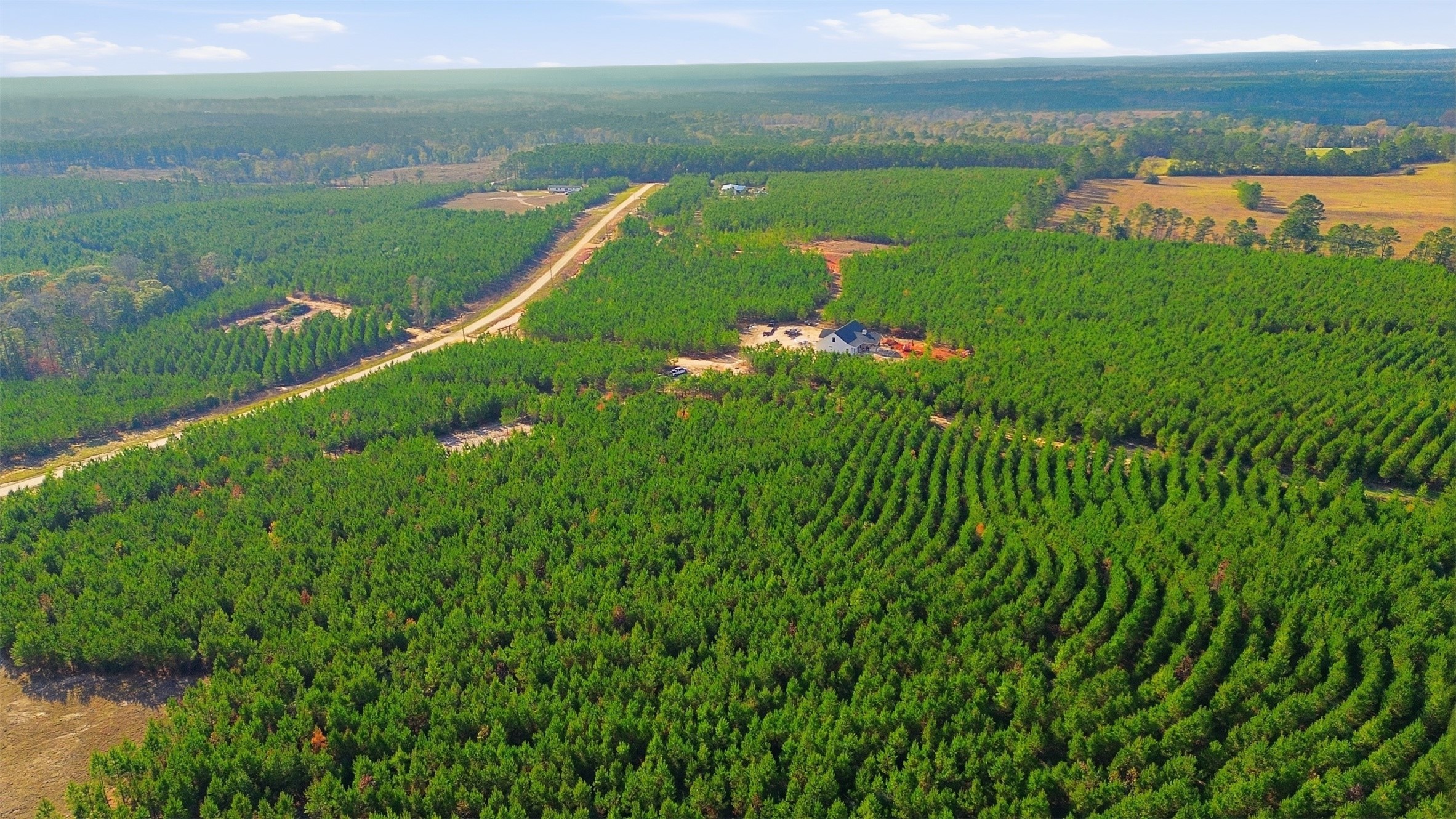 Tbd Blackjack Road Livingston, TX 77351 - Photo 5 of 11 a view of a lake with a big yard