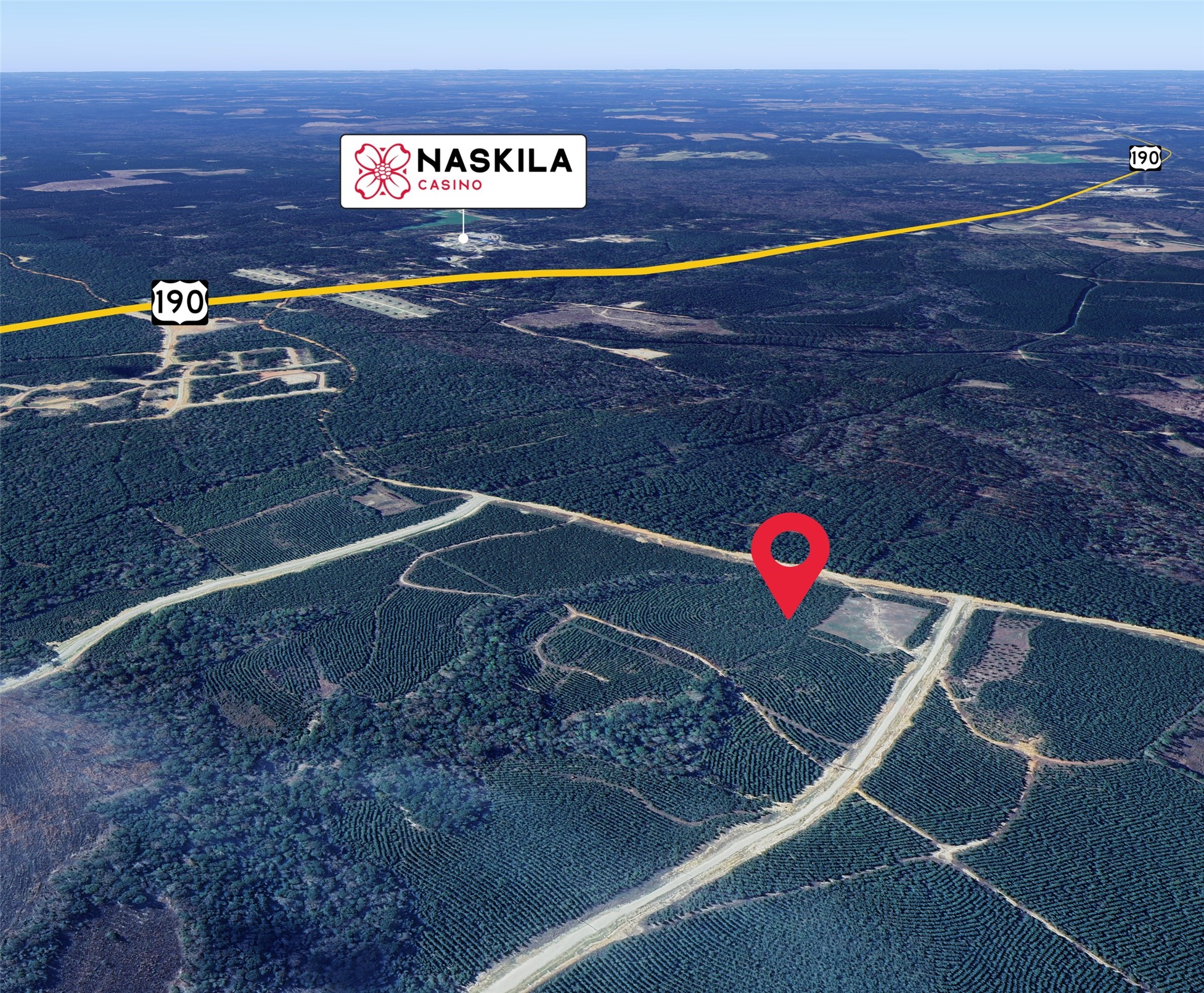 Tbd Blackjack Road Livingston, TX 77351 - Photo 8 of 11 a view of outdoor space