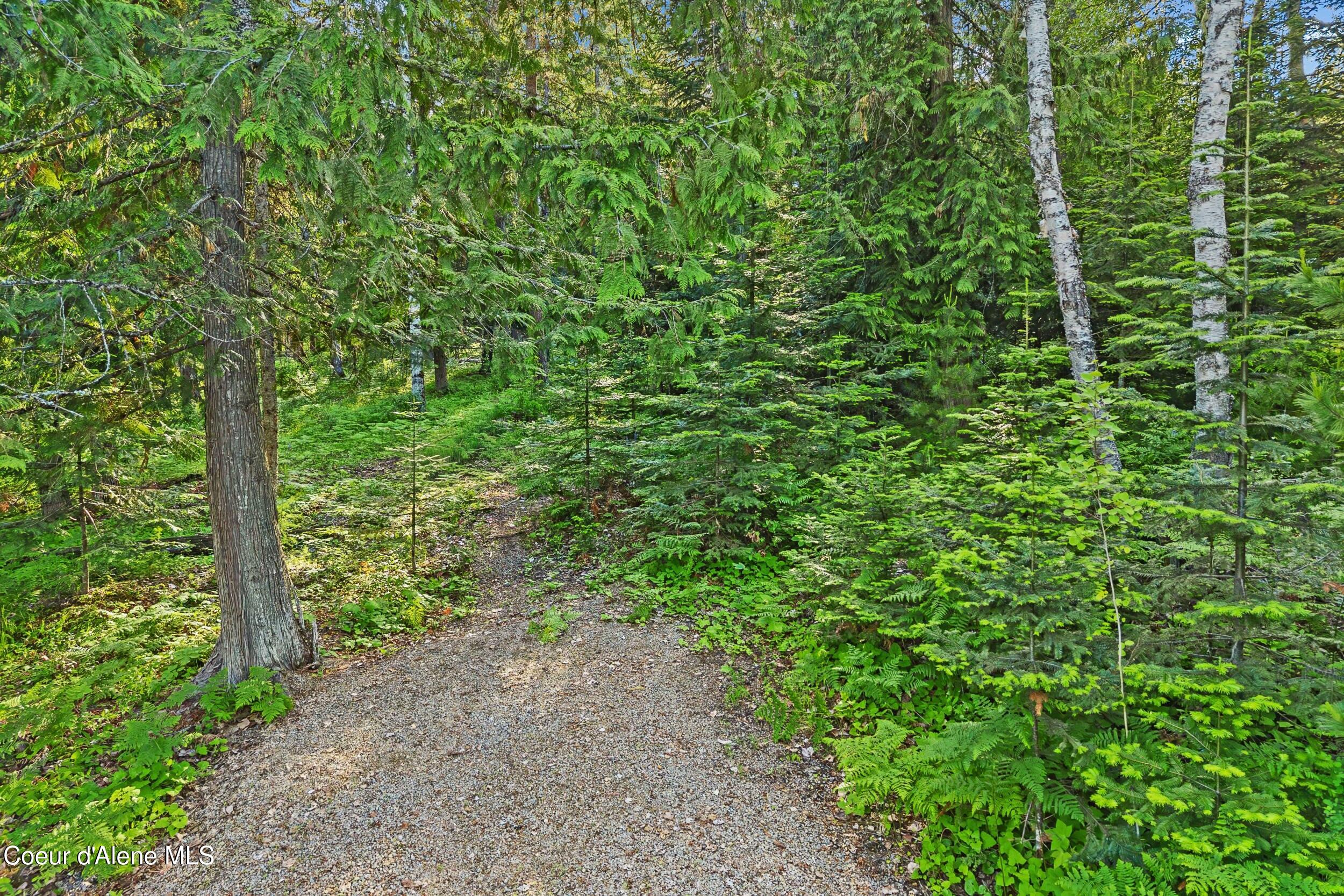 Lot 11 Cougar Run Road Priest Lake, ID 83856 - Photo 7 of 12 16-cougar run rd-parcel