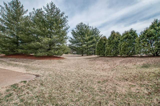 118 Chester Stevens Road Franklin, TN 37067 - Photo 17 of 20 Adjoining common area affords more play area