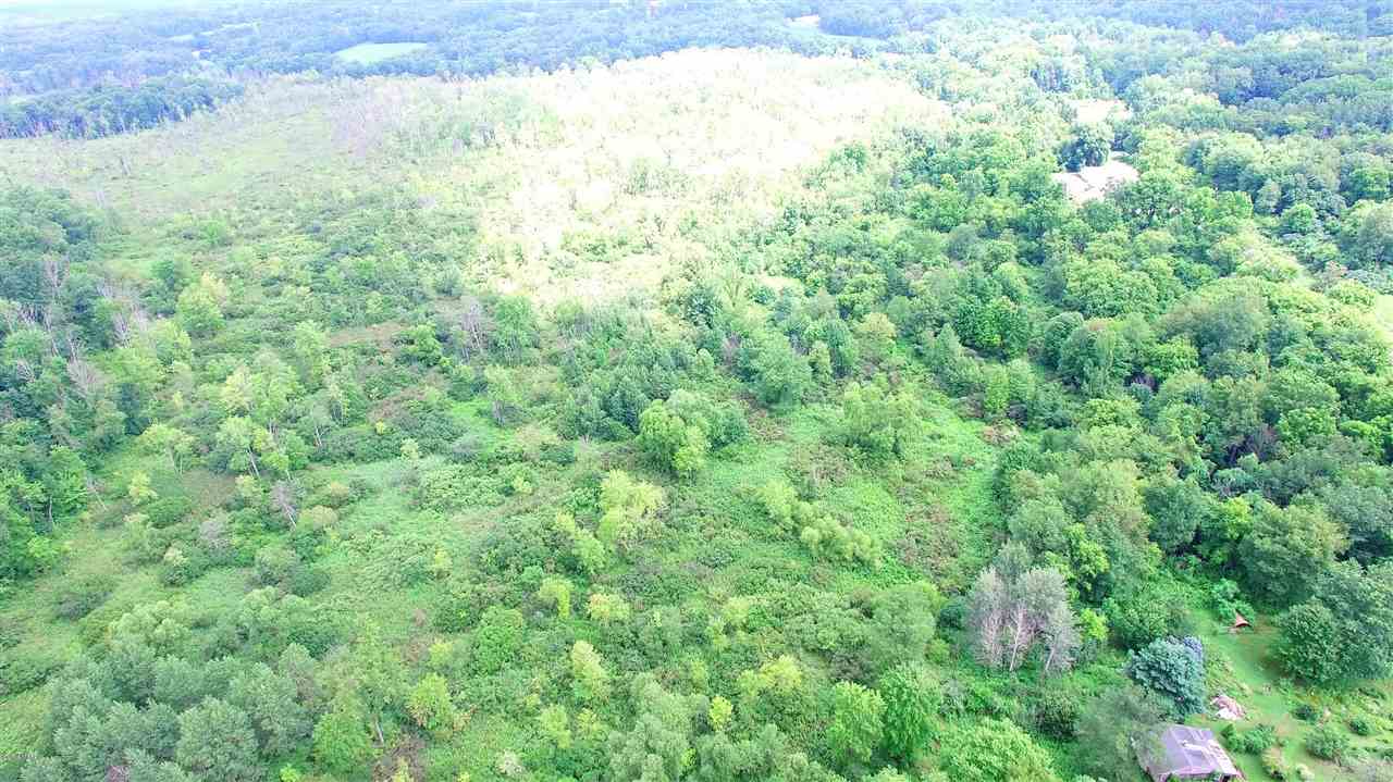 Savage Road Jones, MI 49061 - Photo 3 of 10