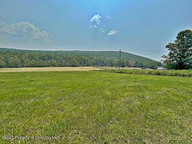0 Saddle Lake Road Tunkhannock, PA 18657 - Photo 3 of 10 a view of a large yard with an outdoor space