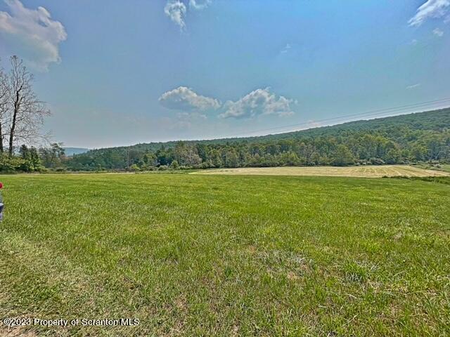 0 Saddle Lake Road Tunkhannock, PA 18657 - Photo 4 of 10 a view of a lake view