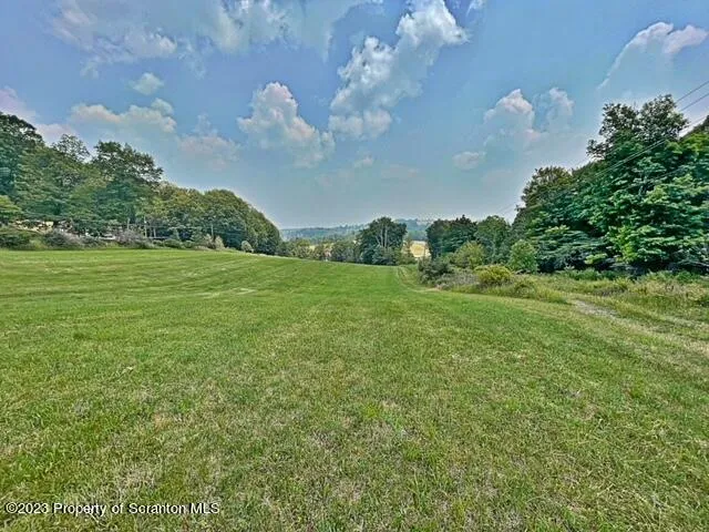 a view of a big yard with plants and large trees