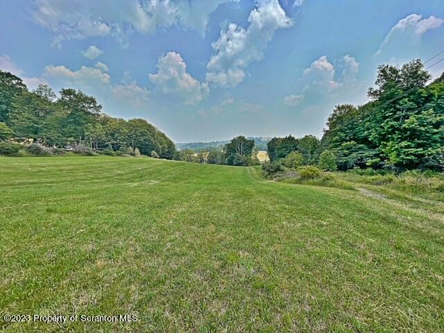 0 Saddle Lake Road Tunkhannock, PA 18657 - Photo 8 of 10 a view of a big yard with plants and large trees