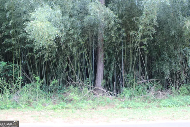 a view of backyard with green space