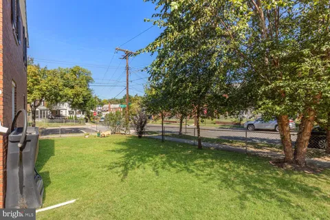 a view of a yard with a tree