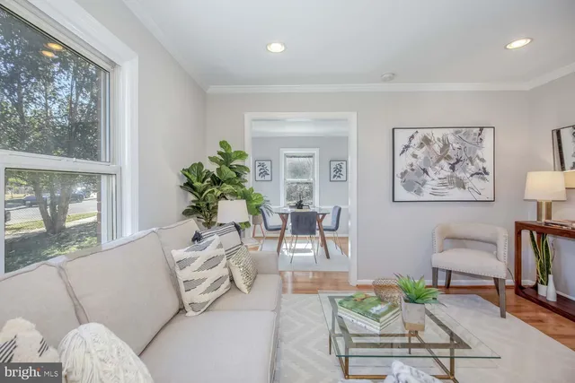 a living room with furniture a large window and a potted plant