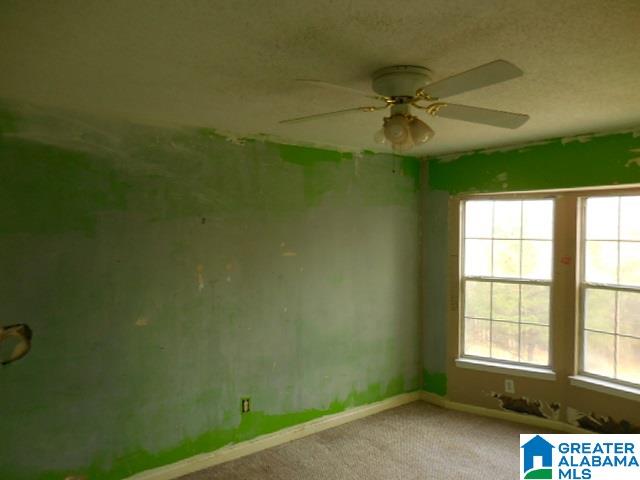 7060 Old Springville Road Pinson, AL 35126 - Photo 9 of 14
