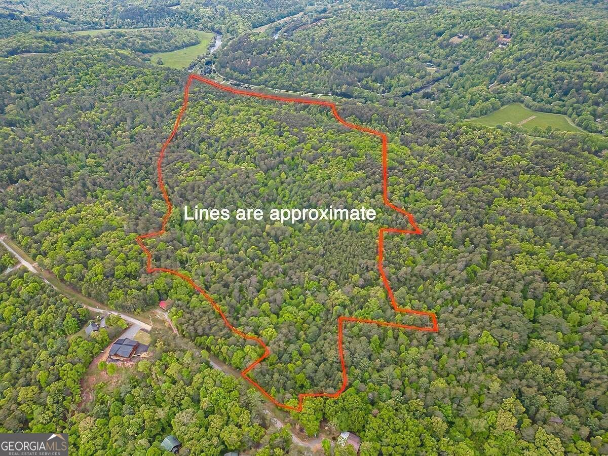 0 Bench Leg Road Mineral Bluff, GA 30559 - Photo 1 of 1 Gallery Image 1
