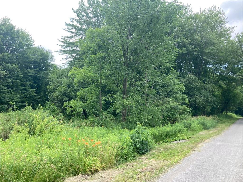 0 Uber Road Grove City, PA 16137 - Photo 1 of 1 a view of a lush green forest