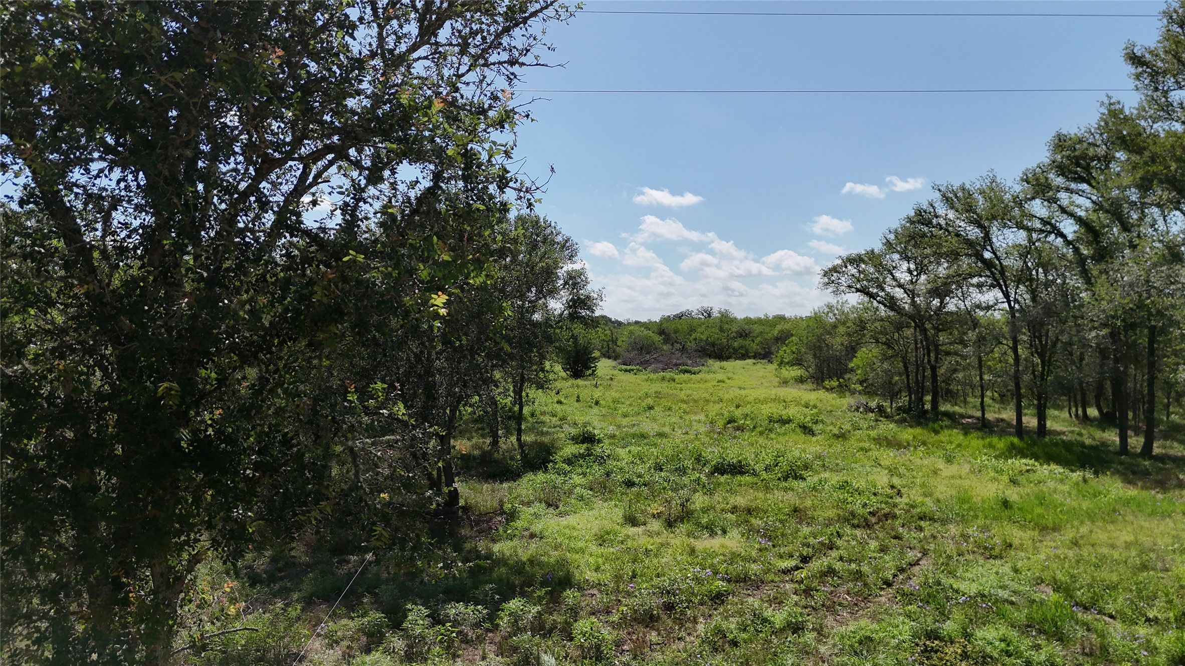 1554 Father Anders Loop Waelder, TX 78959 - Photo 9 of 9 The property features an expanse of green land, surrounded by numerous mature trees