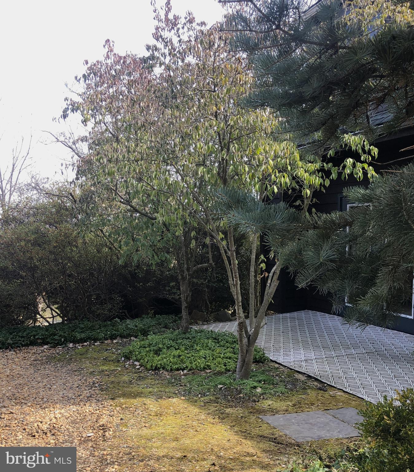 8376 Meadows Road, Unit COTTAGE Warrenton, VA 20186 - Photo 4 of 14 PATIO