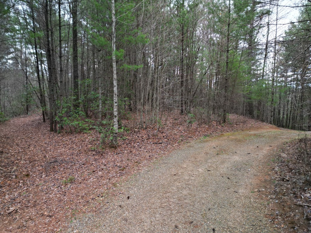 Tbb Grape Creek Road Murphy, NC 28906 - Photo 3 of 7