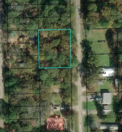 $23,000 | Tbd Bugger Bat Boulevard, Trinity, TX 75862