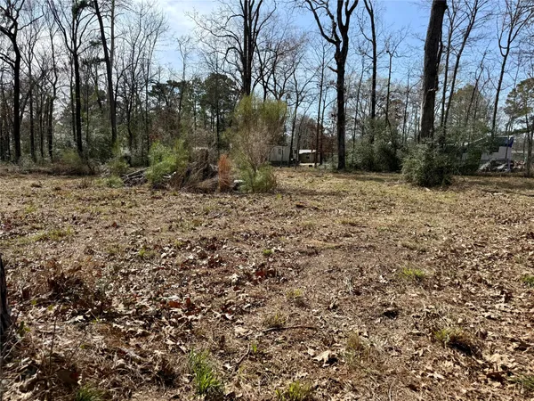 a view of backyard with green space