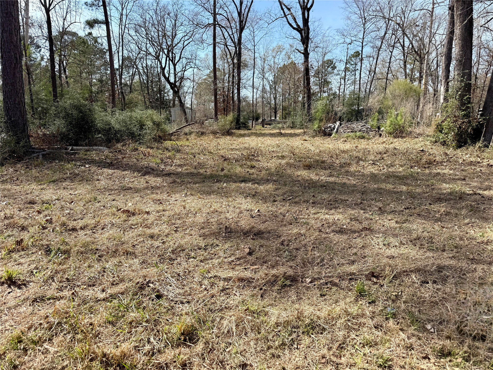 Tbd Bugger Bat Boulevard Trinity, TX 75862 - Photo 3 of 18 a view of dirt yard with a large tree