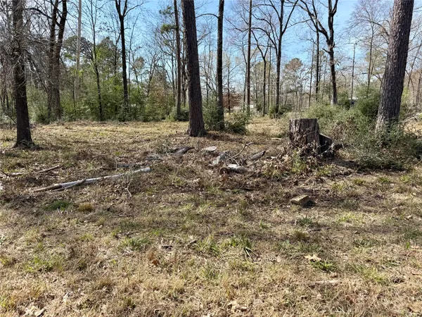 a view of outdoor space with trees
