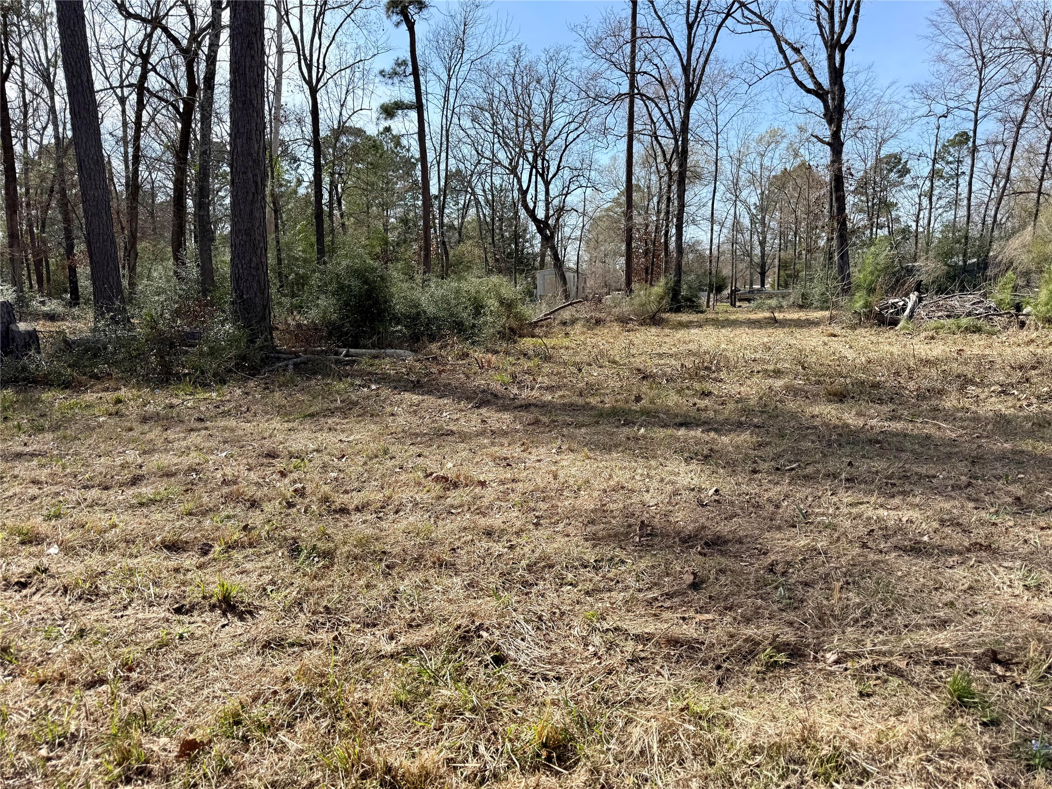 Tbd Bugger Bat Boulevard Trinity, TX 75862 - Photo 5 of 18 a view of outdoor space with trees