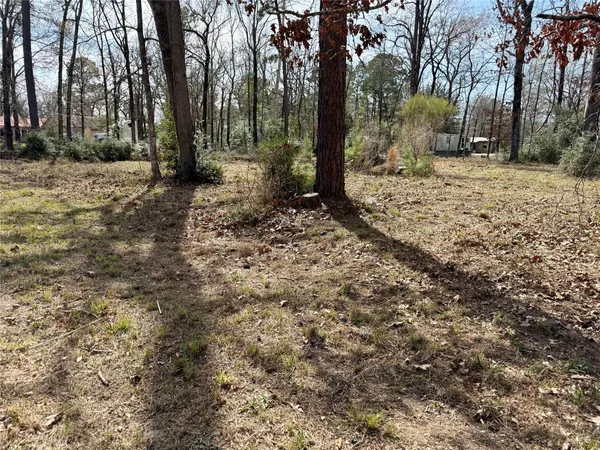 a view of a yard with trees