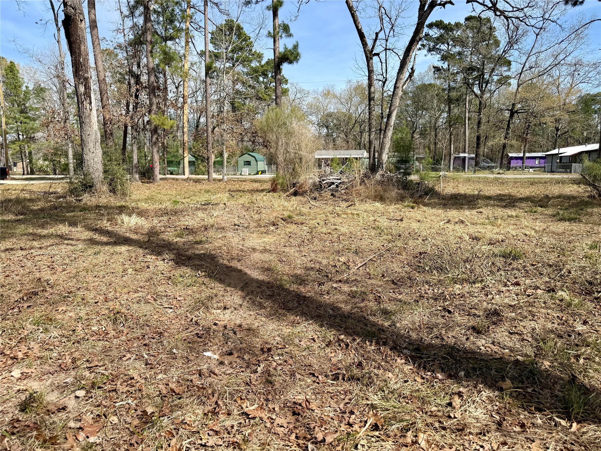 Tbd Bugger Bat Boulevard Trinity, TX 75862 - Photo 7 of 18 a view of outdoor space with trees