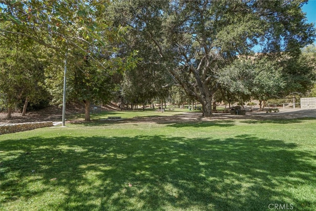 30602 San Martinez Road Val Verde, CA 91384 - Photo 22 of 25