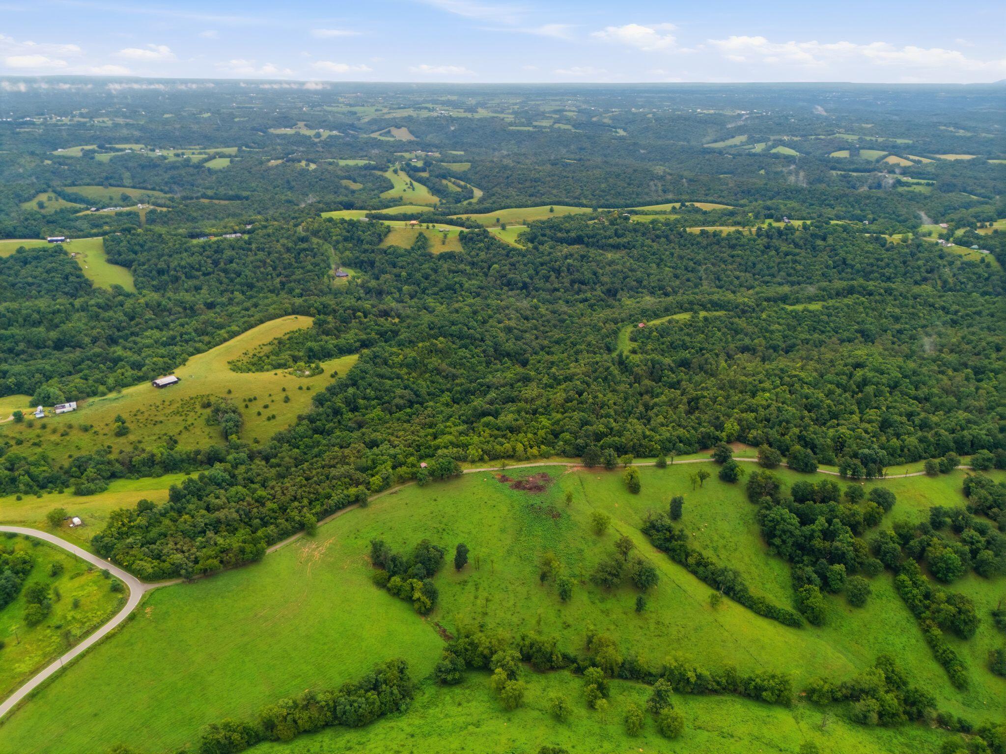 165 Rye Road Mount Olivet, KY 41064 - Photo 5 of 11 8_dji_20260812141351_0115_d