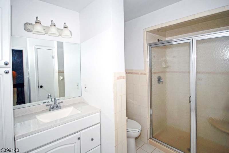 102 Chelsea Way Bridgewater, NJ 08807 - Photo 18 of 28 a bathroom with a sink a toilet and shower
