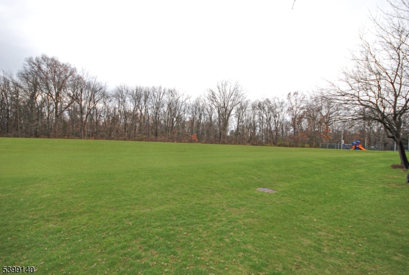 102 Chelsea Way Bridgewater, NJ 08807 - Photo 28 of 28 a view of a field with trees in the background