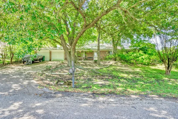 a view of a house with backyard and a tree