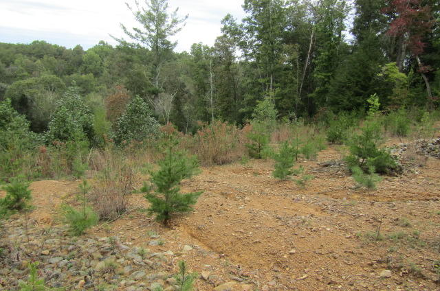 Lot 6 Meridian Road Crossville, TN 38555 - Photo 1 of 7 Lot 6